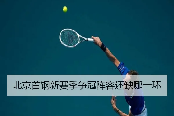 北京首钢新赛季争冠阵容还缺哪一环