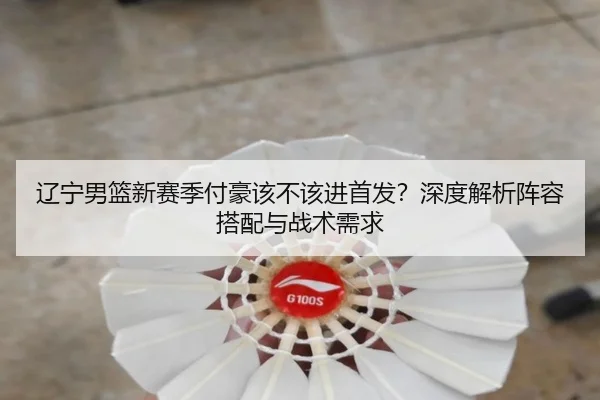 辽宁男篮新赛季付豪该不该进首发？深度解析阵容搭配与战术需求