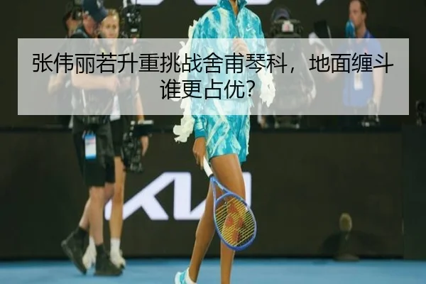 张伟丽若升重挑战舍甫琴科，地面缠斗谁更占优？ - Kaiyun
